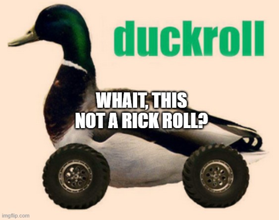 funny meme here | WHAIT, THIS NOT A RICK ROLL? | image tagged in meme,memes,notclickbait,e | made w/ Imgflip meme maker