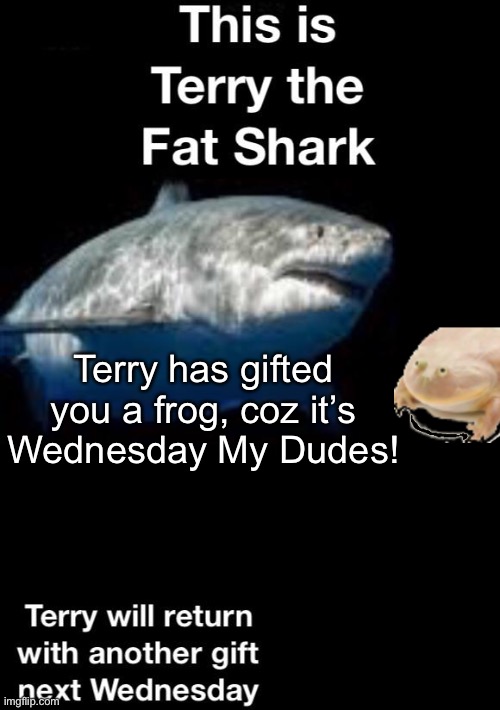 They didn’t  say you couldn’t combine two Wednesday Memes into One. | Terry has gifted you a frog, coz it’s Wednesday My Dudes! | image tagged in terry the fat shark is back,terry the fat shark,memes,its wednesday my dudes | made w/ Imgflip meme maker