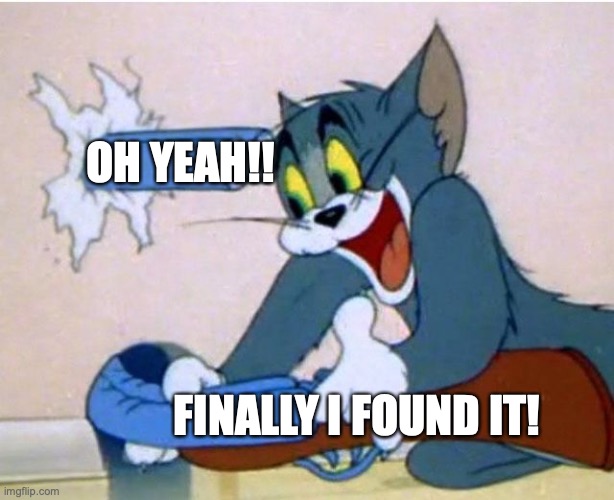 Tom and Jerry | OH YEAH!! FINALLY I FOUND IT! | image tagged in tom and jerry | made w/ Imgflip meme maker