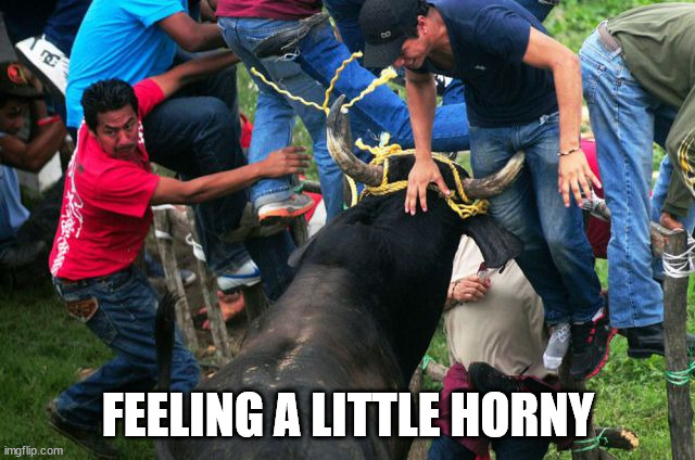 FEELING A LITTLE HORNY | image tagged in eye roll | made w/ Imgflip meme maker