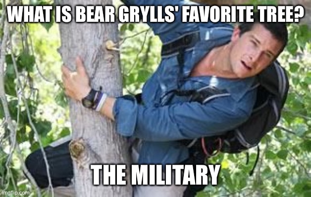 Things that are only funny when read in Bear Grylls' voice. | WHAT IS BEAR GRYLLS' FAVORITE TREE? THE MILITARY | image tagged in bear grylls,adventure time,the most interesting man in the world,wild,tree,climate change | made w/ Imgflip meme maker