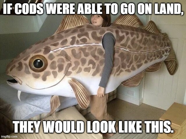 If cods were able to go on land | IF CODS WERE ABLE TO GO ON LAND, THEY WOULD LOOK LIKE THIS. | image tagged in fish,funny,weird | made w/ Imgflip meme maker