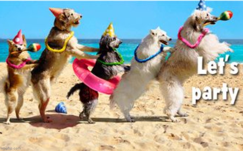 image tagged in dog conga beach birthday | made w/ Imgflip meme maker