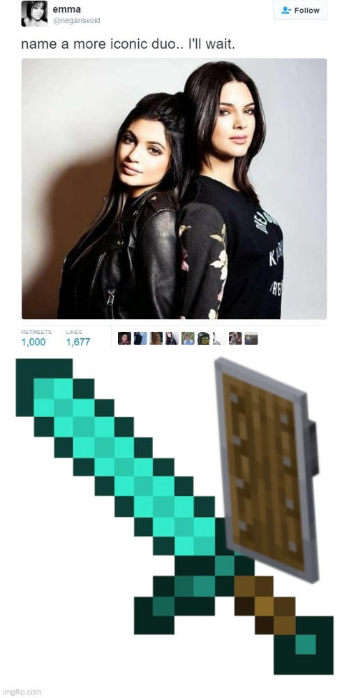 image tagged in name a more iconic duo,minecraft sword | made w/ Imgflip meme maker