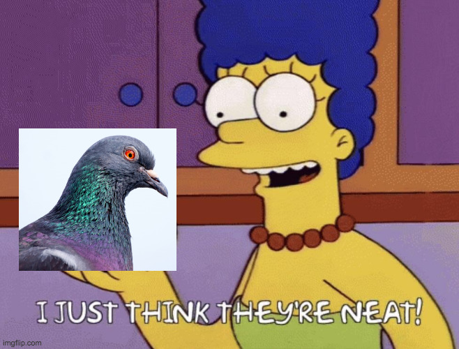 I just think they're neat! | image tagged in i just think they're neat | made w/ Imgflip meme maker