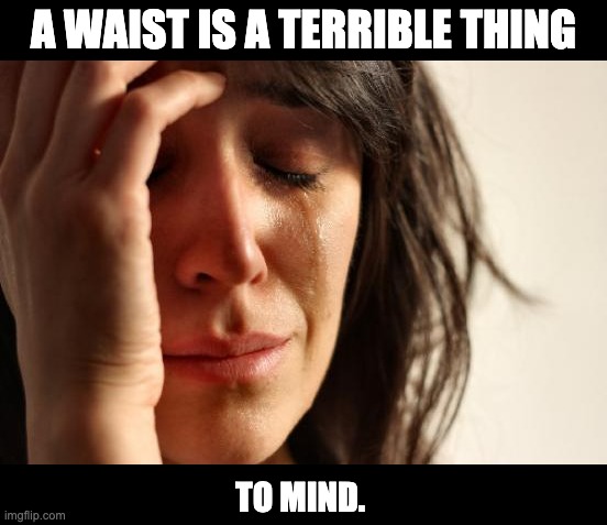 Waist | A WAIST IS A TERRIBLE THING; TO MIND. | image tagged in memes,first world problems | made w/ Imgflip meme maker