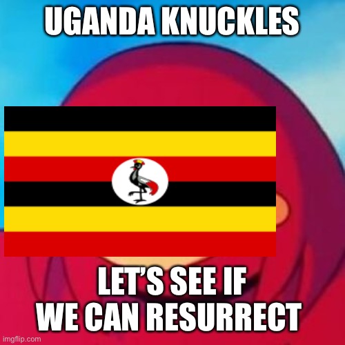 Let’s show de wei to resurrection | UGANDA KNUCKLES; LET’S SEE IF WE CAN RESURRECT | image tagged in ugandan knuckles | made w/ Imgflip meme maker
