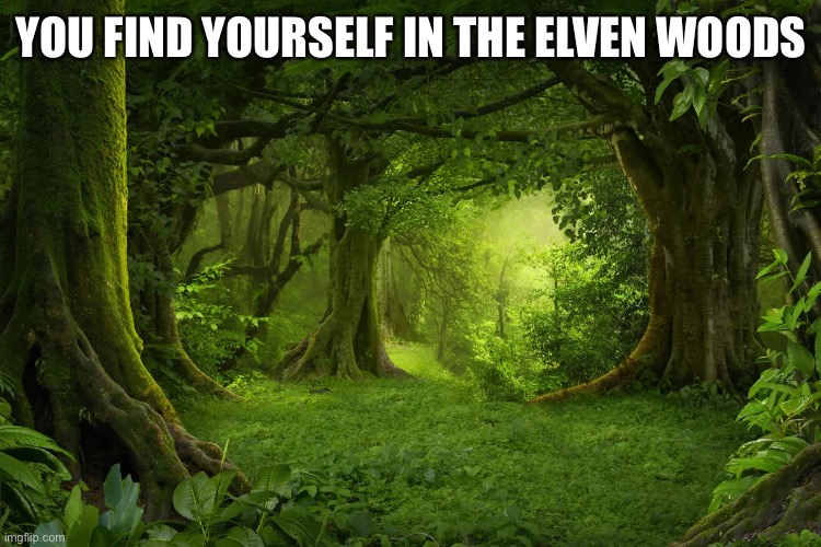 OCs can’t be able to fight more than two average soldiers, if they can don’t use the power | YOU FIND YOURSELF IN THE ELVEN WOODS | made w/ Imgflip meme maker