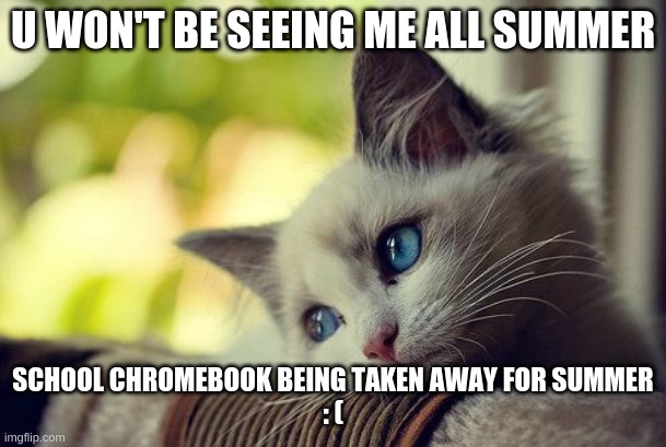 sad |  U WON'T BE SEEING ME ALL SUMMER; SCHOOL CHROMEBOOK BEING TAKEN AWAY FOR SUMMER
: ( | image tagged in memes,first world problems cat | made w/ Imgflip meme maker