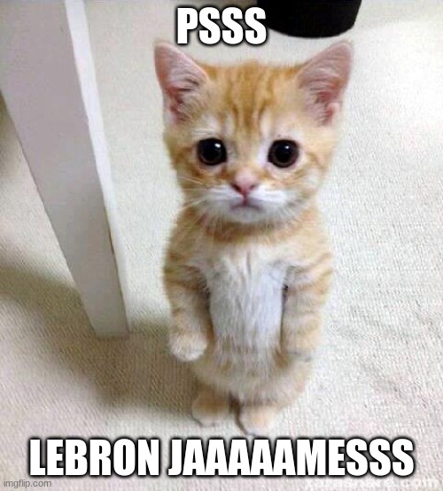 meme 101 | PSSS; LEBRON JAAAAAMESSS | image tagged in memes,cute cat | made w/ Imgflip meme maker