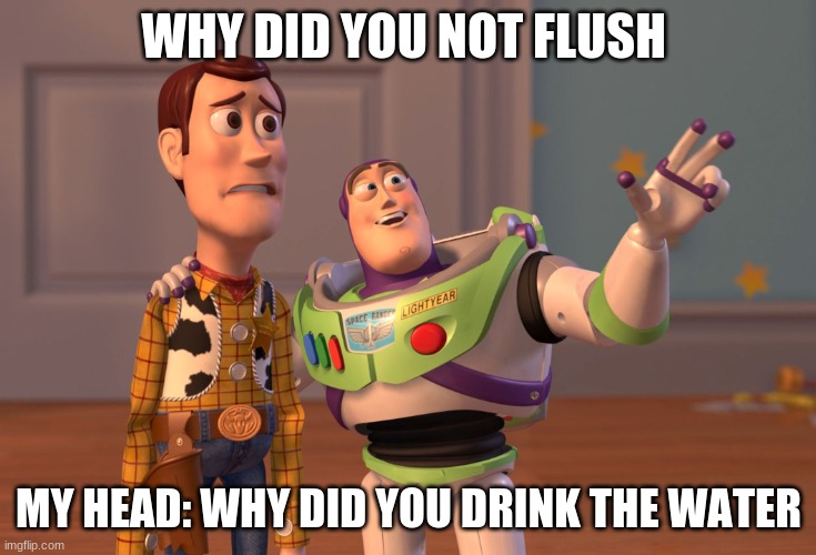 X, X Everywhere | WHY DID YOU NOT FLUSH; MY HEAD: WHY DID YOU DRINK THE WATER | image tagged in memes,x x everywhere | made w/ Imgflip meme maker