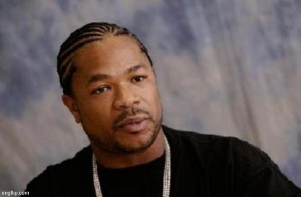 Serious Xzibit Meme | image tagged in memes,serious xzibit | made w/ Imgflip meme maker