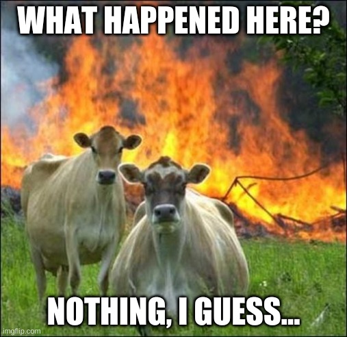 Evil Cows | WHAT HAPPENED HERE? NOTHING, I GUESS... | image tagged in memes,evil cows | made w/ Imgflip meme maker
