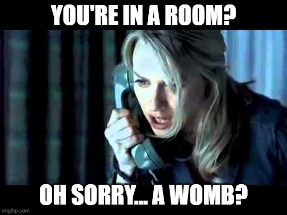 The ring phonecall | YOU'RE IN A ROOM? OH SORRY... A WOMB? | image tagged in the ring phonecall | made w/ Imgflip meme maker