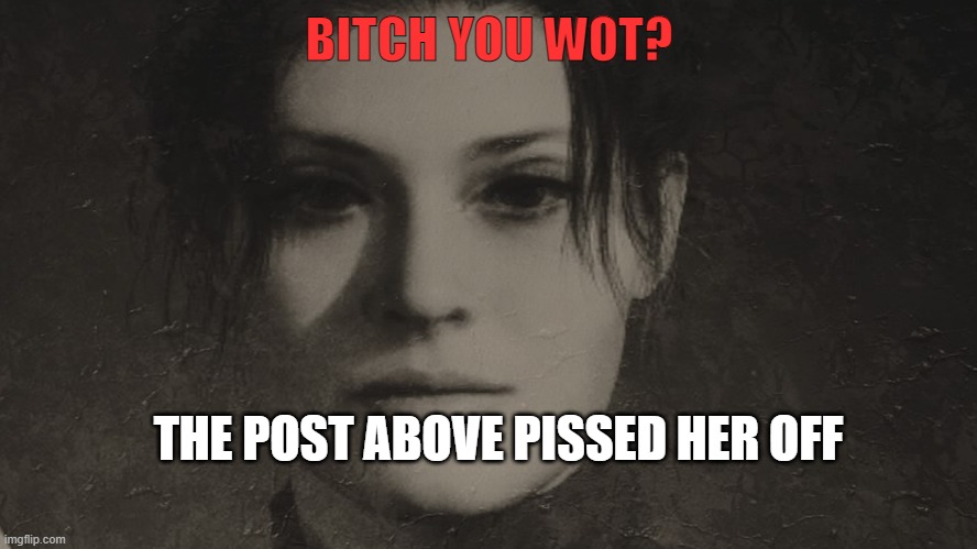 bitch you wot beniviento | THE POST ABOVE PISSED HER OFF | made w/ Imgflip meme maker
