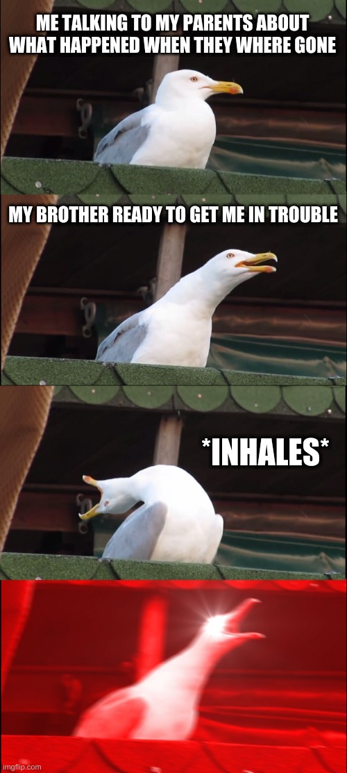 screw little siblings | ME TALKING TO MY PARENTS ABOUT WHAT HAPPENED WHEN THEY WHERE GONE; MY BROTHER READY TO GET ME IN TROUBLE; *INHALES* | image tagged in memes,inhaling seagull | made w/ Imgflip meme maker