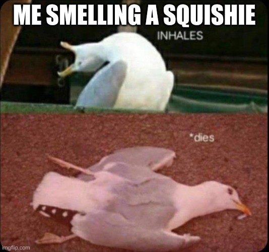 I love how this perfectly sychronizes with the toy | ME SMELLING A SQUISHIE | image tagged in inhales dies bird | made w/ Imgflip meme maker