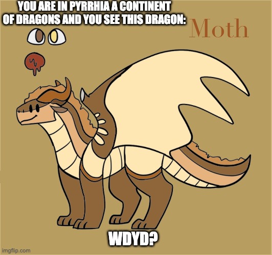 Your character HAS to either be a dragon or a human who cannot understand dragon language | YOU ARE IN PYRRHIA A CONTINENT OF DRAGONS AND YOU SEE THIS DRAGON:; WDYD? | image tagged in wings of fire | made w/ Imgflip meme maker