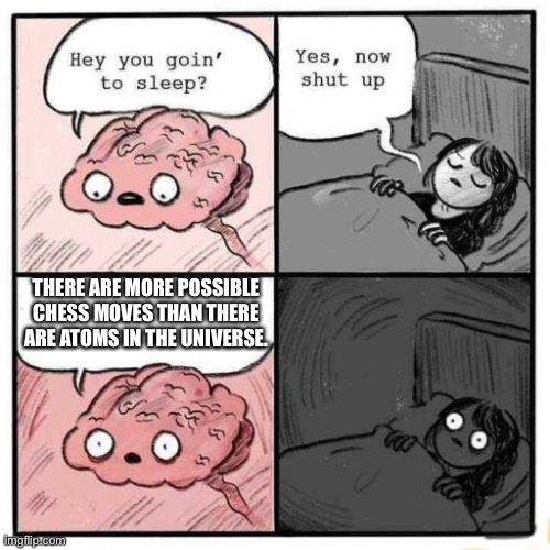 I stayed up till one thinking about this | THERE ARE MORE POSSIBLE CHESS MOVES THAN THERE ARE ATOMS IN THE UNIVERSE. | image tagged in hey you going to sleep | made w/ Imgflip meme maker