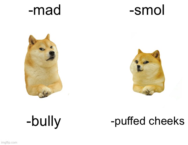 Buff Doge vs. Cheems Meme | -mad; -smol; -bully; -puffed cheeks | image tagged in memes,buff doge vs cheems | made w/ Imgflip meme maker