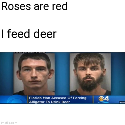 LOL imagine a alligator drikking beer | Roses are red; I feed deer | image tagged in memes,roses are red,funny memes | made w/ Imgflip meme maker