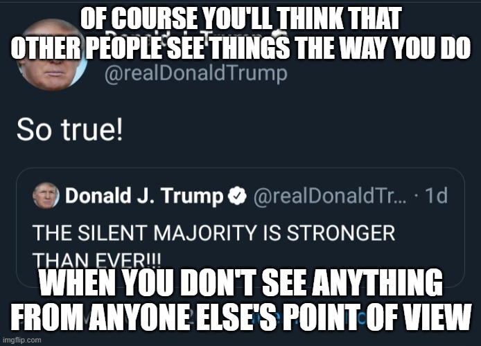 Take Off Your Blinders - Take A Look From Others' Points Of View | OF COURSE YOU'LL THINK THAT OTHER PEOPLE SEE THINGS THE WAY YOU DO; WHEN YOU DON'T SEE ANYTHING FROM ANYONE ELSE'S POINT OF VIEW | image tagged in trump talking to himself,sheeple,narcissism,bias,bubble,safe space | made w/ Imgflip meme maker