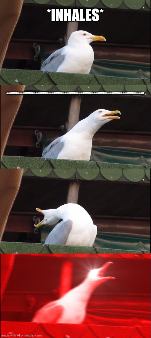 aaaaaaaaaaaaaaaaaaaaaaaaaaaaaaaaaaaaaaaaa | *INHALES*; AAAAAAAAAAAAAAAAAAAAAAAAAAAAAAAAAAAAAAAAAAAAAAAAAAAAAAAAAAAAAAAAAAAAAAAAAAAAAAAAAAAAAAAAAAAAAAAAAAAAAAAAAAAAAAAAAAAAAAAAAAAAAAAA | image tagged in memes,inhaling seagull | made w/ Imgflip meme maker