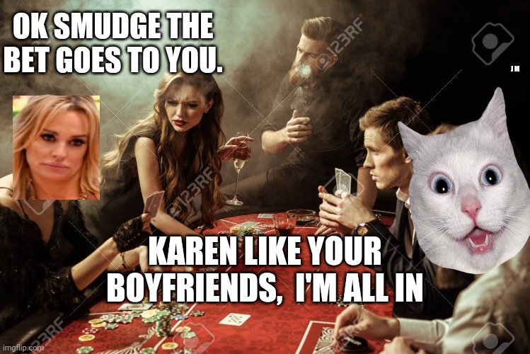 OK SMUDGE THE BET GOES TO YOU. J M; KAREN LIKE YOUR BOYFRIENDS,  I'M ALL IN | image tagged in smudge the cat | made w/ Imgflip meme maker