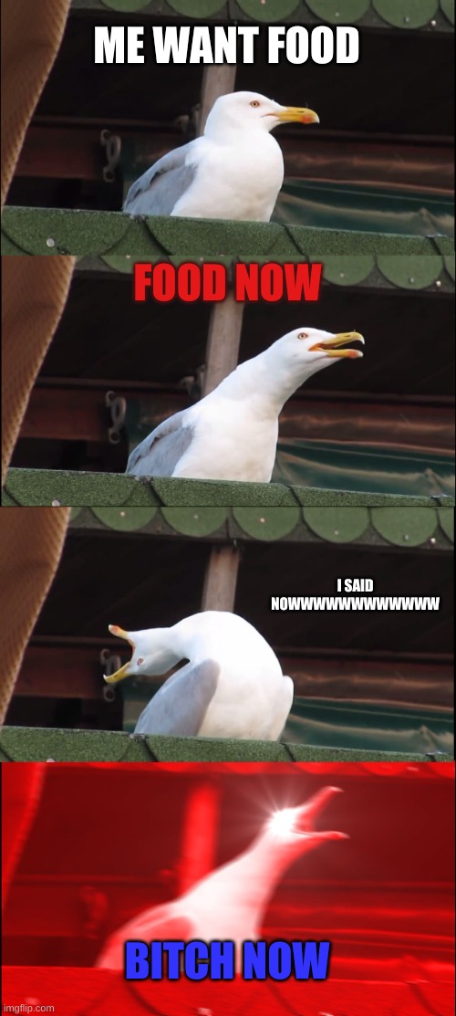 FOOD | ME WANT FOOD; FOOD NOW; I SAID NOWWWWWWWWWWWW; BITCH NOW | image tagged in memes,inhaling seagull | made w/ Imgflip meme maker