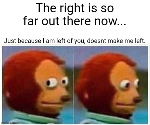 Monkey Puppet Meme | The right is so far out there now... Just because I am left of you, doesnt make me left. | image tagged in memes,monkey puppet | made w/ Imgflip meme maker