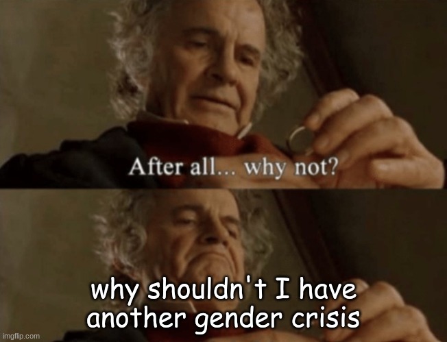 After all.. why not? | why shouldn't I have another gender crisis | image tagged in after all why not | made w/ Imgflip meme maker