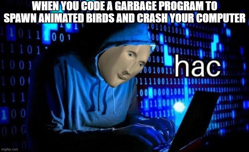 true story | WHEN YOU CODE A GARBAGE PROGRAM TO SPAWN ANIMATED BIRDS AND CRASH YOUR COMPUTER | image tagged in hac,coding,hackers,hacker,hacking,hack | made w/ Imgflip meme maker