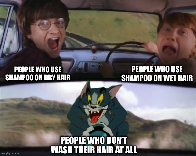 Shampoo or no shampoo | PEOPLE WHO USE SHAMPOO ON WET HAIR; PEOPLE WHO USE SHAMPOO ON DRY HAIR; PEOPLE WHO DON’T WASH THEIR HAIR AT ALL | image tagged in tom chasing harry and ron weasly | made w/ Imgflip meme maker