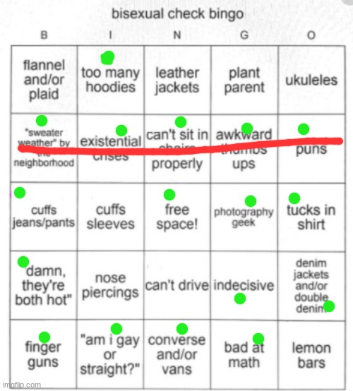 i got bingo | image tagged in bisexual bingo | made w/ Imgflip meme maker