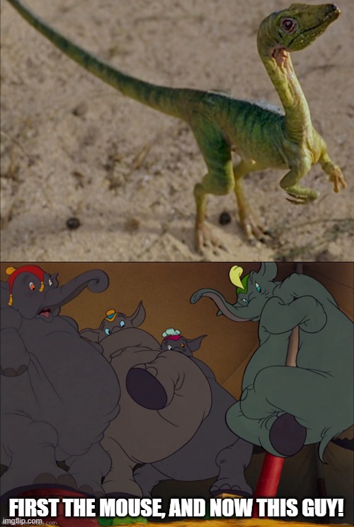 The Elephants Meet Compsognathus | FIRST THE MOUSE, AND NOW THIS GUY! | image tagged in dumbo,elephant,dinosaurs,jurassic park,jurassic world | made w/ Imgflip meme maker