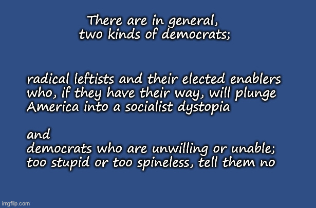 There are in general,  two kinds of democrats | There are in general, 
two kinds of democrats;; radical leftists and their elected enablers
who, if they have their way, will plunge 
America into a socialist dystopia 
 
and
democrats who are unwilling or unable; 
too stupid or too spineless, tell them no | image tagged in democrat | made w/ Imgflip meme maker