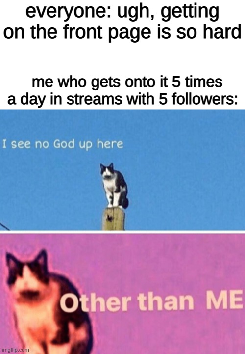 *casually posts a meme in one of those streams* | everyone: ugh, getting on the front page is so hard; me who gets onto it 5 times a day in streams with 5 followers: | image tagged in blank white template,hail pole cat | made w/ Imgflip meme maker
