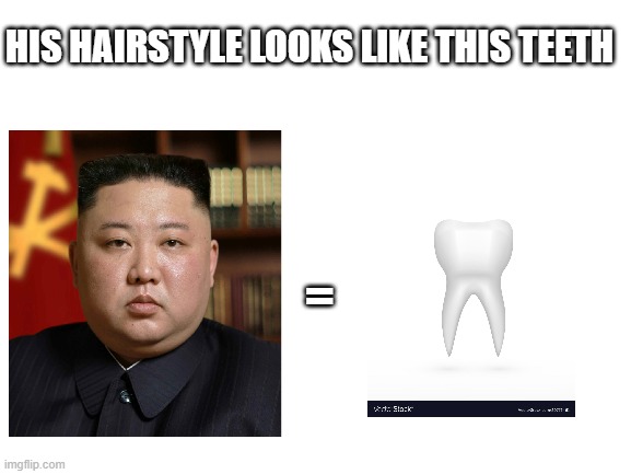 Blank White Template | HIS HAIRSTYLE LOOKS LIKE THIS TEETH; = | image tagged in blank white template | made w/ Imgflip meme maker