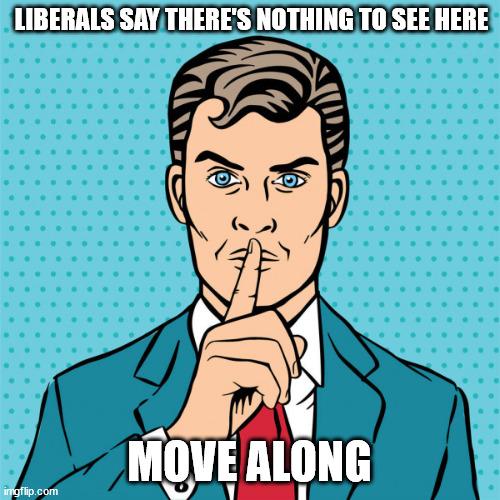 LIBERALS SAY THERE'S NOTHING TO SEE HERE MOVE ALONG | made w/ Imgflip meme maker