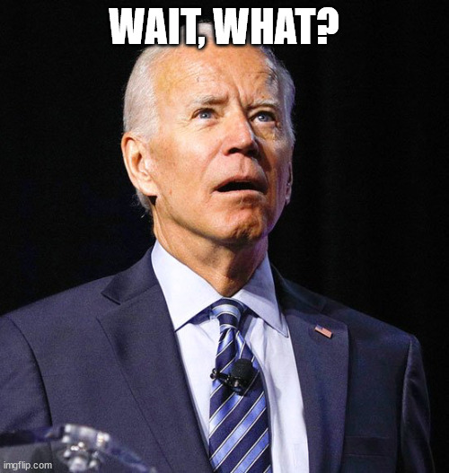 Joe Biden | WAIT, WHAT? | image tagged in joe biden | made w/ Imgflip meme maker