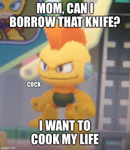 Lets add some veggies of pain and some peppers of agony. Don’t forget to add the meats of sorrow! | MOM, CAN I BORROW THAT KNIFE? I WANT TO COOK MY LIFE | image tagged in bomb man cock | made w/ Imgflip meme maker