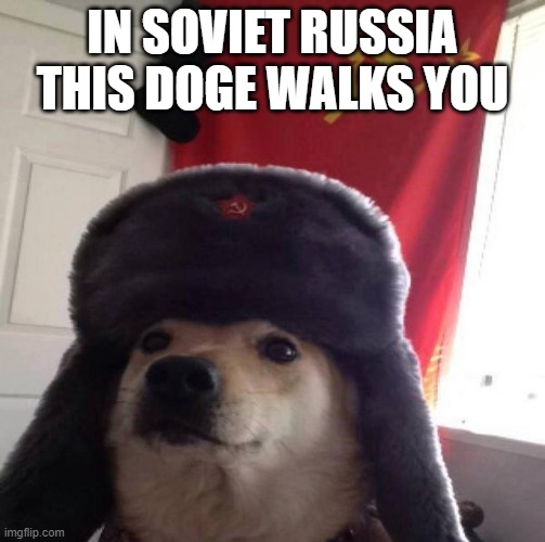 Russian Doge | IN SOVIET RUSSIA THIS DOGE WALKS YOU | image tagged in russian doge | made w/ Imgflip meme maker