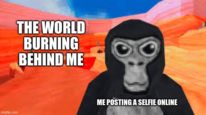 gorilla tag | THE WORLD BURNING BEHIND ME; ME POSTING A SELFIE ONLINE | image tagged in gorilla tag | made w/ Imgflip meme maker