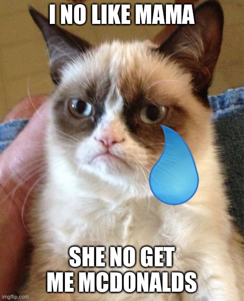 Grumpy Cat | I NO LIKE MAMA; SHE NO GET ME MCDONALDS | image tagged in memes,grumpy cat | made w/ Imgflip meme maker
