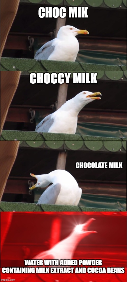 Inhaling Seagull |  CHOC MIK; CHOCCY MILK; CHOCOLATE MILK; WATER WITH ADDED POWDER CONTAINING MILK EXTRACT AND COCOA BEANS | image tagged in memes,inhaling seagull,grammat | made w/ Imgflip meme maker