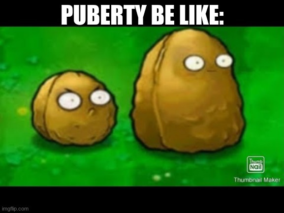So I found this on Google | PUBERTY BE LIKE: | image tagged in plants vs zombies,cursed image | made w/ Imgflip meme maker