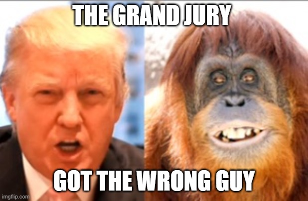 Donald trump is an orangutan | THE GRAND JURY; GOT THE WRONG GUY | image tagged in donald trump is an orangutan | made w/ Imgflip meme maker