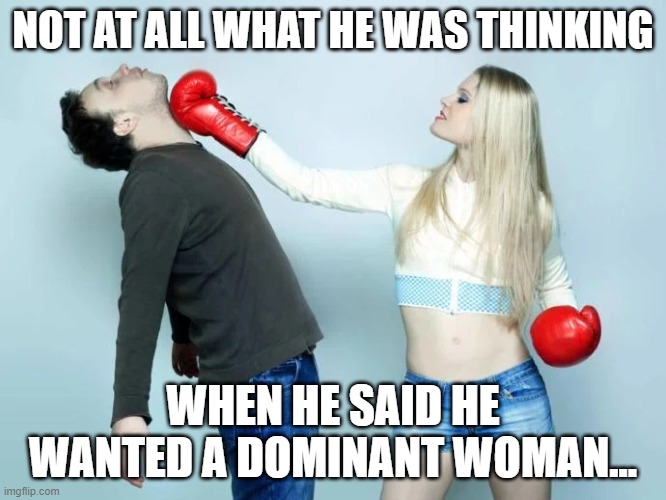 Punch | NOT AT ALL WHAT HE WAS THINKING; WHEN HE SAID HE WANTED A DOMINANT WOMAN... | image tagged in punch | made w/ Imgflip meme maker