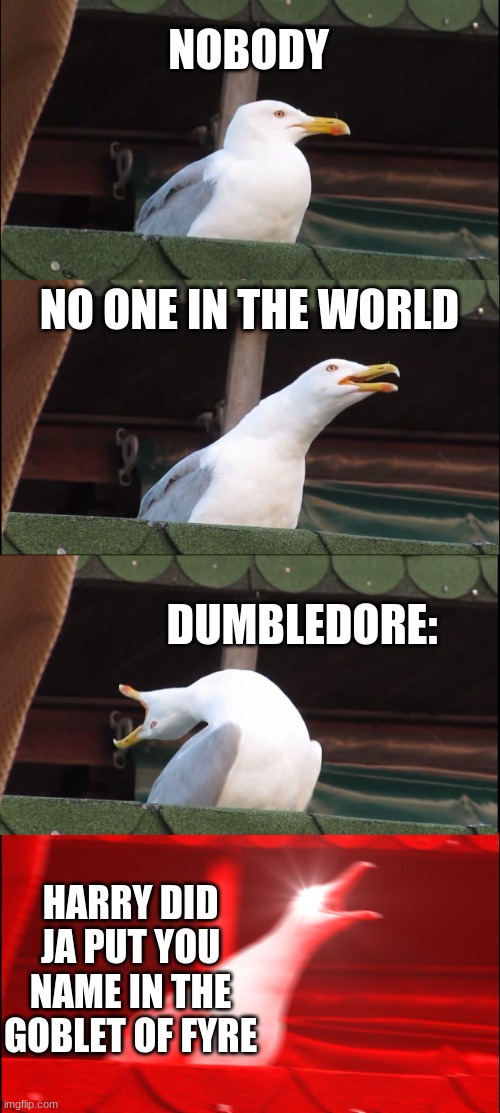 Inhaling Seagull Meme | NOBODY; NO ONE IN THE WORLD; DUMBLEDORE:; HARRY DID JA PUT YOU NAME IN THE GOBLET OF FYRE | image tagged in memes,inhaling seagull | made w/ Imgflip meme maker