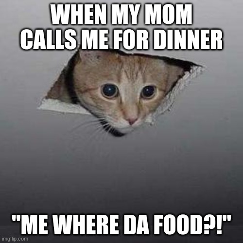 When my mom calls me for dinner | WHEN MY MOM CALLS ME FOR DINNER; "ME WHERE DA FOOD?!" | image tagged in memes,ceiling cat | made w/ Imgflip meme maker